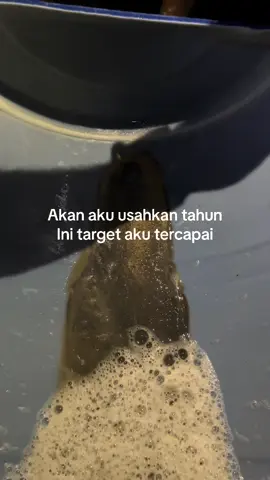 #agan aku usahkan tahun ini tergetar aku tercapai#ffyypppp