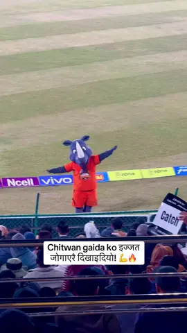 Chitwan gaida ko इज्जत जोगाएरै दिखाइदियो! 💪🔥 #npl #npls2 #tustadium #cricketlover 