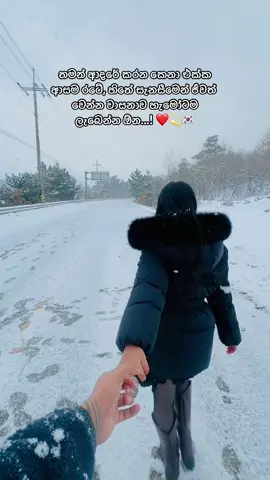 තමන් ආදරේ කරන කෙනා එක්ක ආසම රටේ හිතේ සැනසීමෙන් ජීවත් වෙන්න වාසනාව හැමෝටම ලැබෙන්න ඕන...! ❤️💫🇰🇷 #kevinandmashi #couplegoals #togetherforever #cozywinter #lovelife 