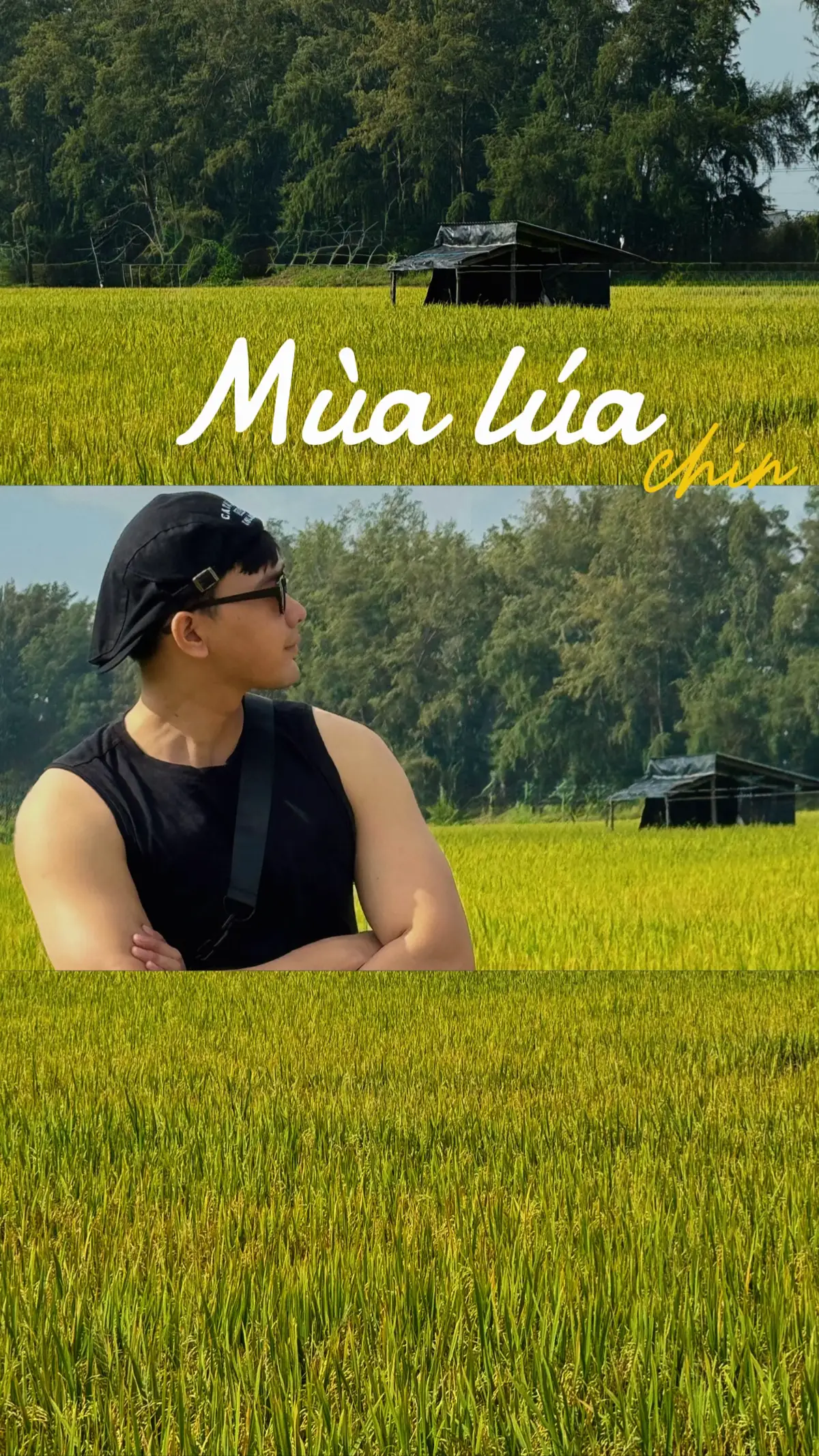 #xuhuong #cantho #fyp #anhnongdan #sontungmtp 