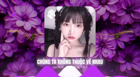 Chúng Ta Không Thuộc Về Nhau#nhạchaymỗingày #djthaihoangremix #music #hottiktok #xuhuongtiktok 