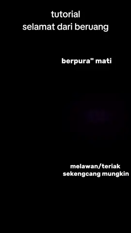 #CapCut ☠️☠️☠️#beruang#kutub#fyppp