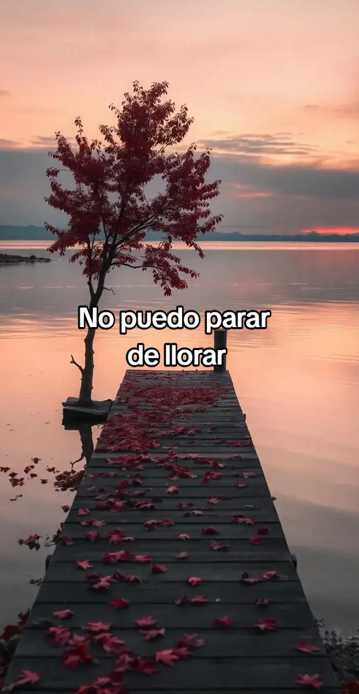 #booktokespañol #saludmental #libros #booktokusa #latinosenusa 