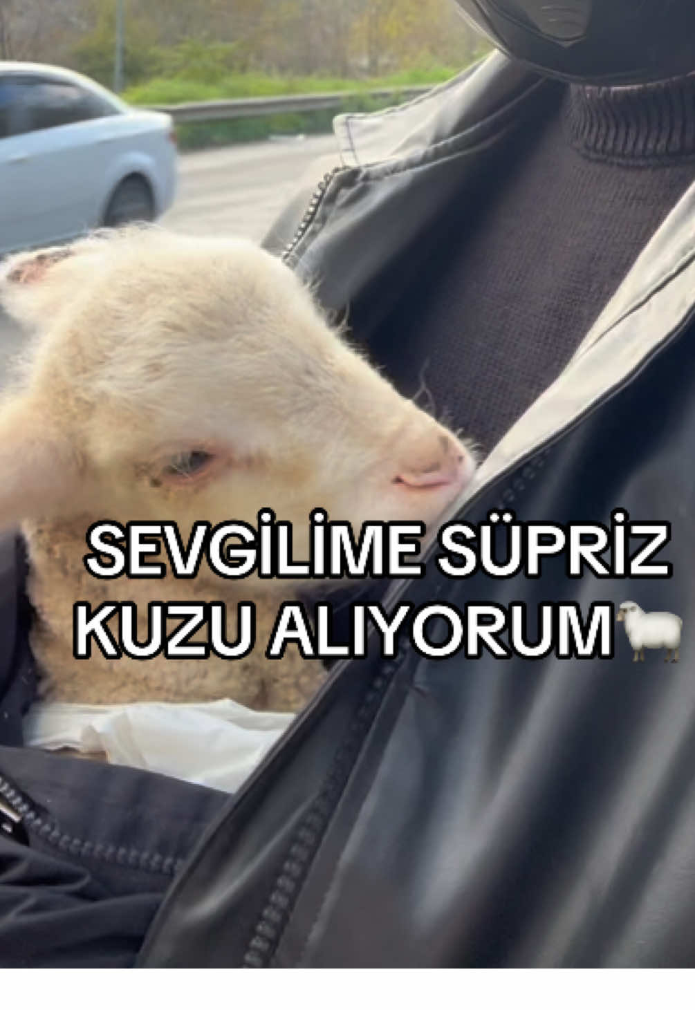 Size alınan en güzel hediye neydi? #keşfet #sevgilivideolari #kuzu #hayvansevgisi 