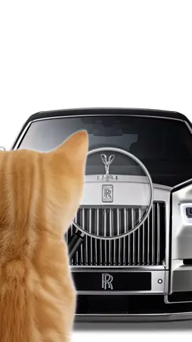 Киса сравнивает Aurus и Rolls-Royce Phantom 😻🚘 Покупайте автомобили с пробегом на Авто.ру. 