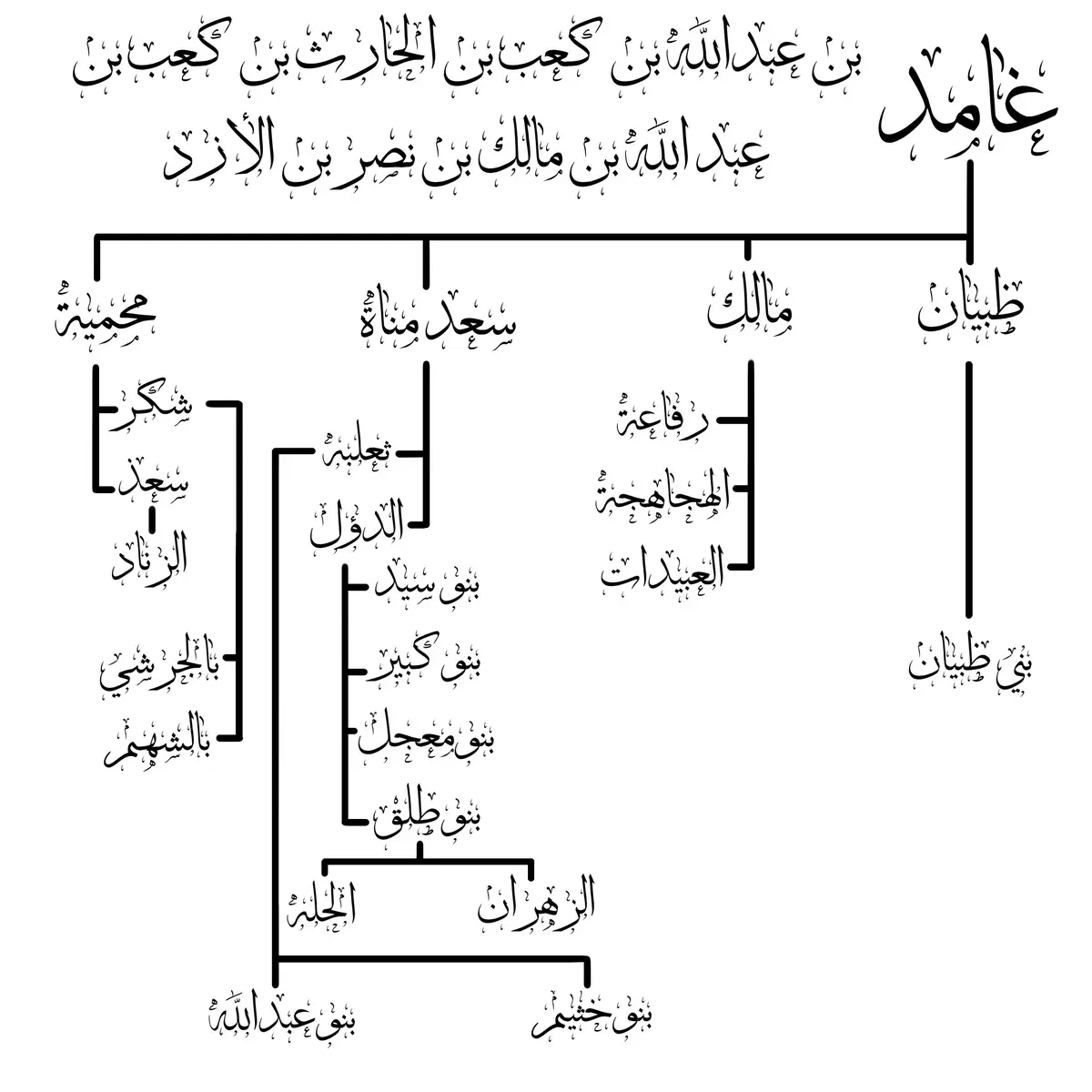 أزد شنوءة أو شنوّة: اسم لمجموعة من القبائل العربية تنتمي إلى الأزد، وشنوءة لقب يطلق على الحارث أو عبد الله بن كعب بن عبد الله بن مالك بن نصر بن الأزد أو على نصر بن الأزد وبنوه، وهم من أكبر بطون الأزد، ومن قبائلهم الشهيرة: دوس، وغامد، وزهران، وثمالة، ولهب وبني عمر. وكانت منازلها في مأرب جنوب جزيرة العرب، وخرجوا منها بعد سيل العرم، وقد حدد خروجهم حمزة الأصفهاني في القرن الثاني الميلاي،[2] وفي خروجهم قال ابن الكلبي وابن إسحاق:«جمع عمرو بن عامر بنيه، فقال لهم: يا بني إنّي قد علمت أنّكم ستتفرقون من منزلكم هذا بعدي...من كان منكم ذا همّ مدنّ وأمر ذي عنّ فليلحق بأرض شن‌، فلحقت بارق -واسم بارق عوف بن عدي بن حارثة...ولحقت أسد شنوءة بالسراة، وإنّما سموا أسد شنوءة و هم بنو مالك بن نصر بن الأسد لما وقع بينهم من الشناءة».[3][4] ولما فصل الأزد عن اليمن كان أول نزولهم بلاد السراة وجبل شن وبارق في تهامة، فوجدوا خثعم، ونازعوها في بعض أرضهم، وفي ذلك يروي ابن الكلبي:«كانت منازلهم - خثعم - بجبال السراة، وما والاها جبل يقال له: شن، وجبل يقال له: بارق، وجبال معهما. حتى مرت بهم الأزد في مسيرها من أرض سبأ، وتفرقها في البلاد، فقاتلوهم فأنزلوهم من جبالهم، وأجلوهم، عن منازلهم، ونزلتها أزد شنوءة، غامد، وبارق، ودوس، وتلك القبائل من الأزد، فظهر الاسلام، وهم أهلها، وسكانها»،[5] كما نازع بعض بطون شنوءة العماليق، وفي ذلك يروي الحموي عن الأصمعي:«بنو الحارث ابن عبد الله بن يشكر بن مبشر من الأزد، غلبوا العماليق على الحز فسموا الغطاريف».[6] قال الخليل بن أحمد وهو من هذه القبيلة: «أزد شنوءة: أصح الأزد فرعاً وأصلاً»،[17] وأنشد: فما أنتم بالأزد أزد شنوءة ولا من بني كعب بن عمرو بن عامر وشنوءة بالهمز، وشنوّة بتشديد الواو من غير همز، من الشنآن، وهو البغض، قال ابن قتيبة الدينوري: «سمي بذلك من قولك، رجل فيه شنوءة أي تقزز وتباعد من الأدناس»،[18] وقال ابن دريد الدوسي: «شَنِئتُ الرجلَ أشنَؤه شَنْأً وشَنَآناً وشُنوءاً ومَشْنَأةً، إِذا أبغضته. وَبِه سُمّي شَنوءة أَبُو هَذَا الحيّ من الأزد»،[19] وقال أبو عبيد:«الشنوءة: الذي يتقزز من الشيء، وبه سمي أزد شنوءة»،[20] وقال الخفاجي: «سموا بهذا لعلو نسبهم وحسن أفعالهم، من قولهم: رجل شنوءة، أي طاهر النسب ذو مروءة»،[21] وقد اختلف المؤرخون في شنوءة فقيل هو لقب ابن كعب بن عبد الله بن مالك بن نصر بن الأزد، وقيل لقب لنصر بن الأزد. يتصف أزد شنوءة بأنهم جسدهم خَفيفُ اللَّحمِ نَحيفٌ، فقد شَبَّه الرسول صلى الله عليه وسلم النبي موسى عليه السلام بهم،[22] وجاء في صحيح مسلم وصحيح البخاري: «عَنْ جَابِرٍ أَنَّ رَسُولَ اللَّهِ ﷺ قَالَ: 