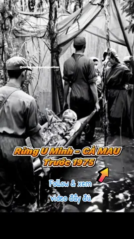 Một thoáng U Minh xưa… nơi con người sống hòa cùng rừng tràm bất tận. Rừng U Minh Cà Mau trước 1975 là một trong những vùng rừng nguyên sinh rộng lớn nhất miền Nam. Nơi ấy có mùi tràm nồng, có khói ong mật, có những con đường mòn ngập bóng rừng. Hình ảnh U Minh xưa là ký ức của biết bao thế hệ, gợi lại cảm giác mộc mạc, hoang sơ và đầy bình yên. Video này tái hiện một phần ký ức ấy – nhẹ nhàng nhưng đủ khiến ta nhớ về những câu chuyện ông bà từng kể. #RungUMinh #UMinhCaMau #CaMauTruoc1975 #KyUcXua #NamBoXua 
