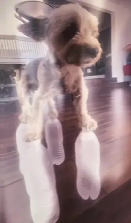 Baby edit #fyp #foryou #funny #edit