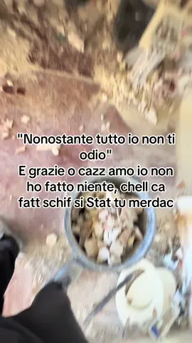 #rumeno🇷🇴🤪 #albania🇦🇱kosova🇽🇰 #welcomeromania🇷🇴 #🇮🇹🇮🇹🇮🇹🇮🇹🇮🇹 #f 