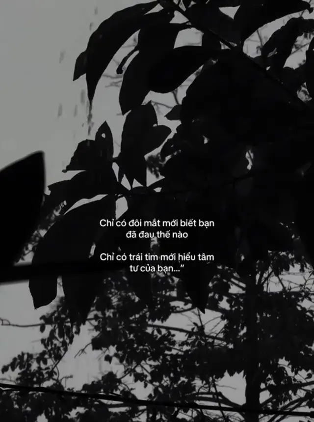 #status #motminhcoonkhong #nhacbuontamtrang😞💔 #tinhyeu #xuhuongtiktok 