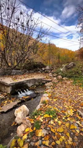 كانيا نورينئ 🍂📸 #a7mee22 #شعب_الصيني_ماله_حل😂😂 #barwari #hiror 