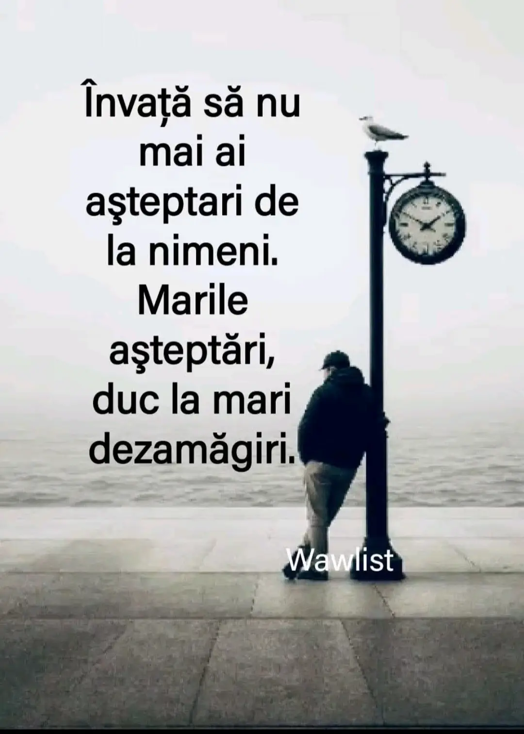 #altiktok🖤シ゚☆♡♥️🥀🦋j #altiktok🖤シ゚☆♡💔yyyyyyyyyyyyyy #altiktok🖤シ゚☆♡viral💔💔😥 #fypシ゚viral🖤video🤗foryou😍🔥tiktok🙏❤️🤪🙈🙈💯 #fypviraltiktok🖤シ゚☆♡ 