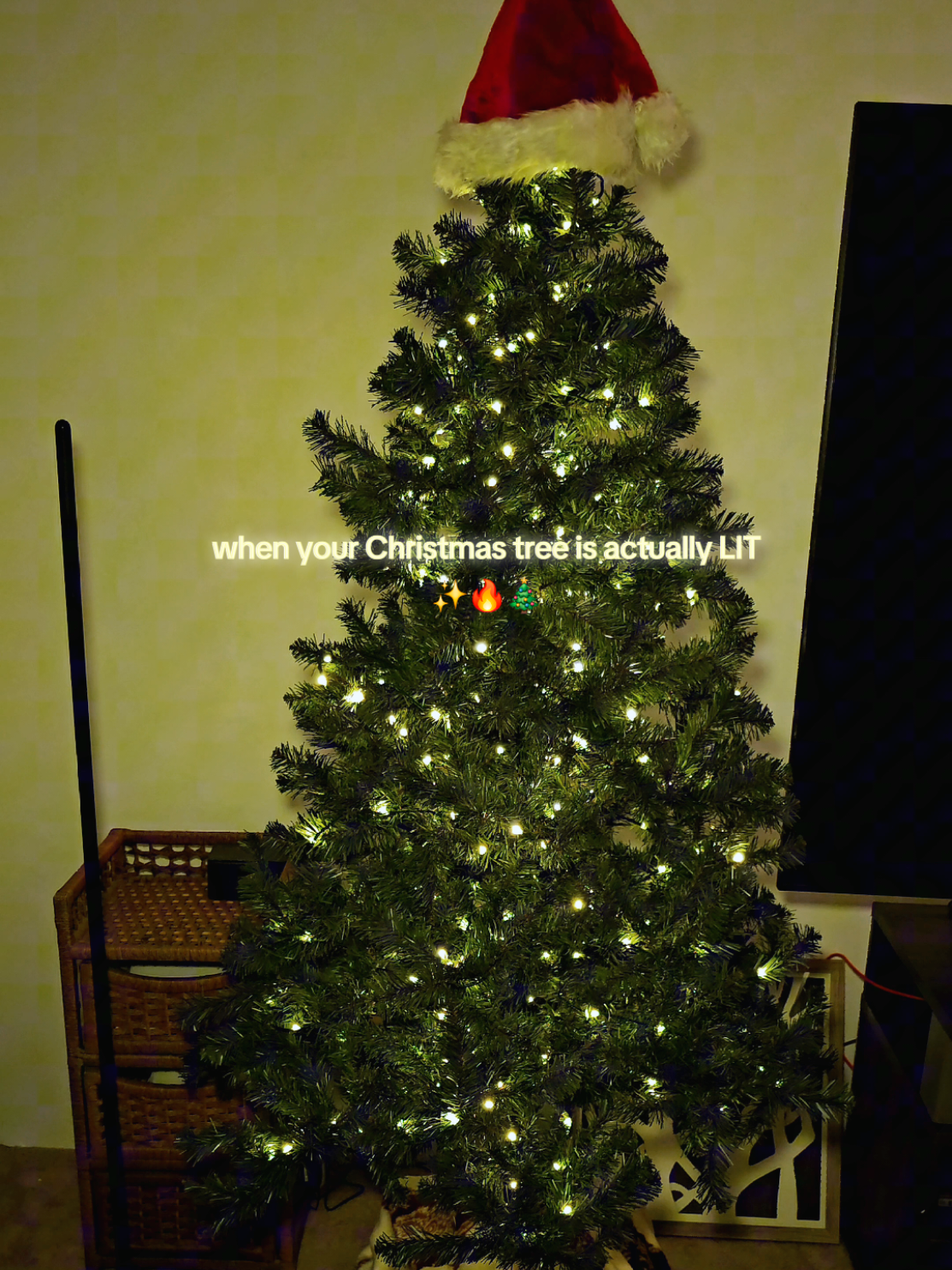 When your Christmas tree has a glow up! 😍✨🎄 Did I mention you can sync them to your Govee TV Backlights too!!?!? (see all of my latest Govee videos 😉).  These string lights alone however are INSANE...though I expected nothing less from @GoveeUS. Their customization options never disappoint. 💯  • 16 million colors • 130+ dynamic lighting effects • shape mapping • outdoor rated (-4° to 104° F, IP65 waterproof) • customize segment by segment with colors, speed, and SO much more • even smart home compatible (Alexa, Google Home, and Matter) #christmaslights #goveesynclights #treelights #stringlight #tiktokshopblackfriday 