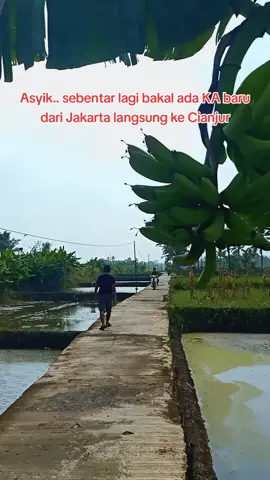 Tanggal 14 Desember tahun ini akan segera meluncur Kereta Api Pariwisata dengan rute Jakarta-Cianjur yang bernama Kereta Api 