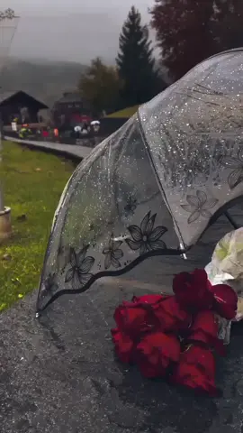 #القران_الكريم_راحه_نفسية😍🕋 ٨#تصويري_احترافي_الاجواء👌🏻🕊😴 #الشعب_الصيني_ماله_حل😂😂 