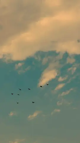 مولاي فأحضني☁️💚..#تصويري_احترافي_الاجواء👌🏻🕊😴 #الفديو_موجود_بقناتي_تلكرام_بلبايو🦋💘 