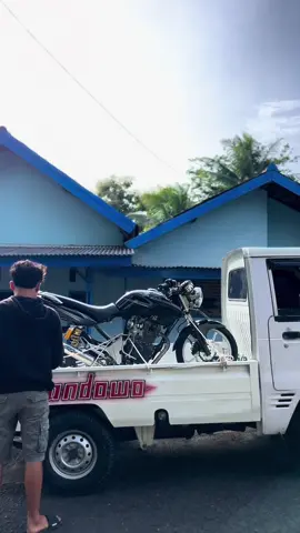 🤣#tigerherexwonogiri 