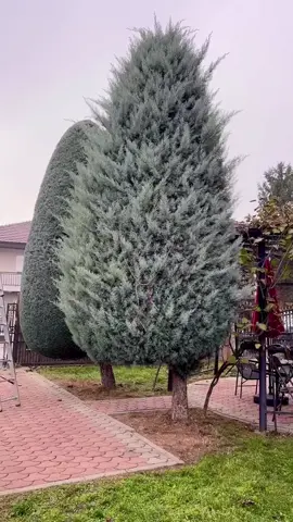 😔😔😔#ASMA💎MONi 