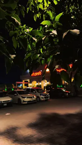 محبت آپکو ہر جاندار میں نظر آئے گی ، جب کی دھوکہ صرف اشرف المخلوقات کی خصوصیت ہے۔🖤🥺 #foryou #vibes #asthetic #trending #tiktokpakistan 