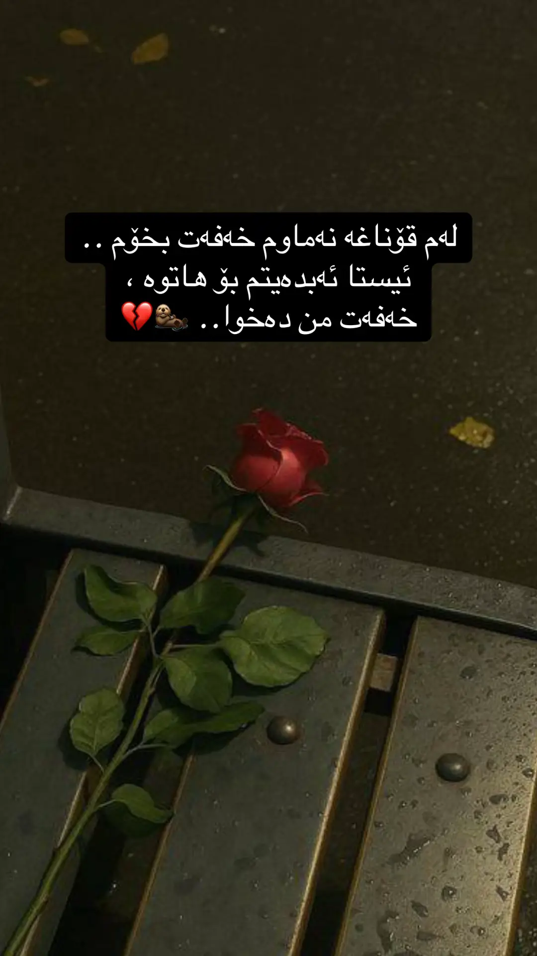 #💔🥀  #hawler_slemani_dhok_karkuk_hallabja 