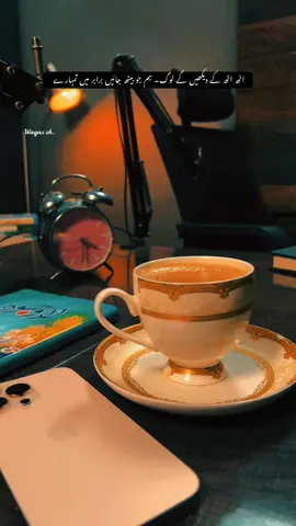 اُٹھ اٹھ کے دیکھیں گے لوگ ہم جو بیٹھ جائیں برابر میں تمہارے#viral #trending #video #tealover #chailover 