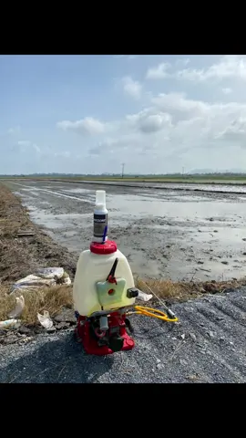 Mr 269🌾 Rendam rhyzome.selepas tabur sprayer penuh #fyppppppppppppppppppppppp #oripadi🌾 @M100 TIMUR & UTARA 