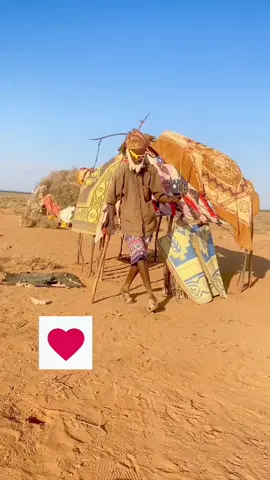 #ciyaalxamar #muqdisho #hargeisa #foryou #viral 