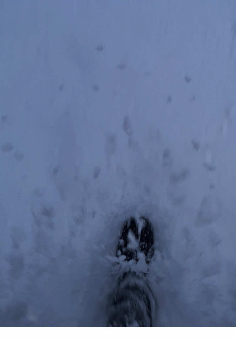 Сегодня поднялся на вторую ступеньку #отрывокдневника #fyp 