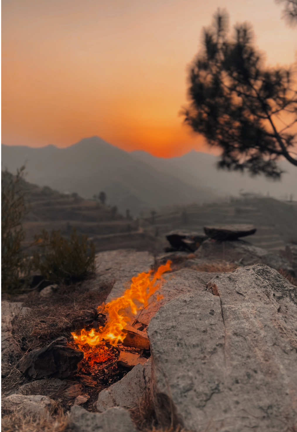 Sta da dedan..❤️‍🩹🥹#fyp #pashtopoetry #lines #naturewithmalak #1millionaudition 