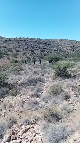 #hooyadaa🔥🤣#puntulandernimo #puntulandernimo #puntulandernimo #puntulandernimo 