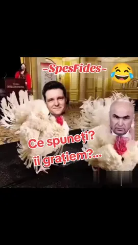 #curcani #ziuaindependenței #nicușordan #iliebolojan 🦃