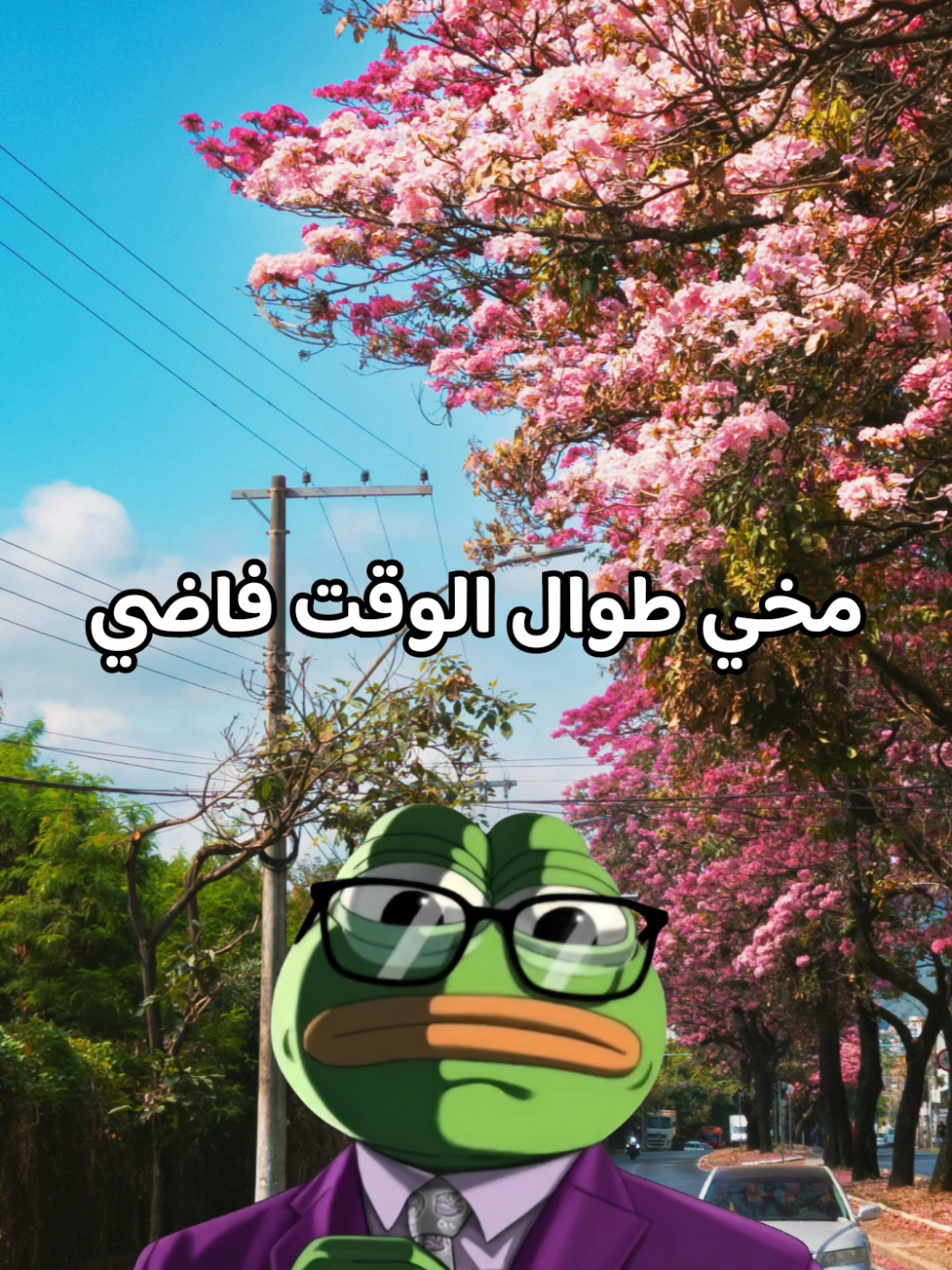 مخي لما اجي انام😂😆. #ضحك #الضفدع_الحكيم #كلام_من_ذهب #اقوال_وحكم_الحياة #fyp 