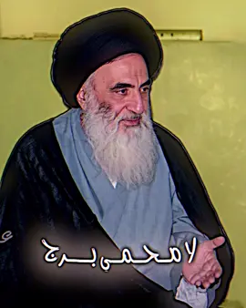 #سيد_علي_السيستاني 