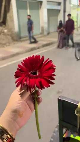 নিজের সর্বোচ্চটুকু দিয়েও আমি কারো প্রিয় হতে পারিনি, কারো মনে স্পেশাল জায়গা করে নিতে পারিনি। পরিবার, বন্ধুমহল, ভালোবাসার মানুষ কারো কাছে দরকারি হতে পারিনি, আমাকেই লাগবে বা আমাকে ছাড়া চলবে না এরকম কিছু কখনো আমার সাথে হয়নি। ভুলে যাওয়াও খুব সহজ আমাকে কেউ মনে রাখেনি।😊❤️‍🩹 #foryou #follower #loveyou 