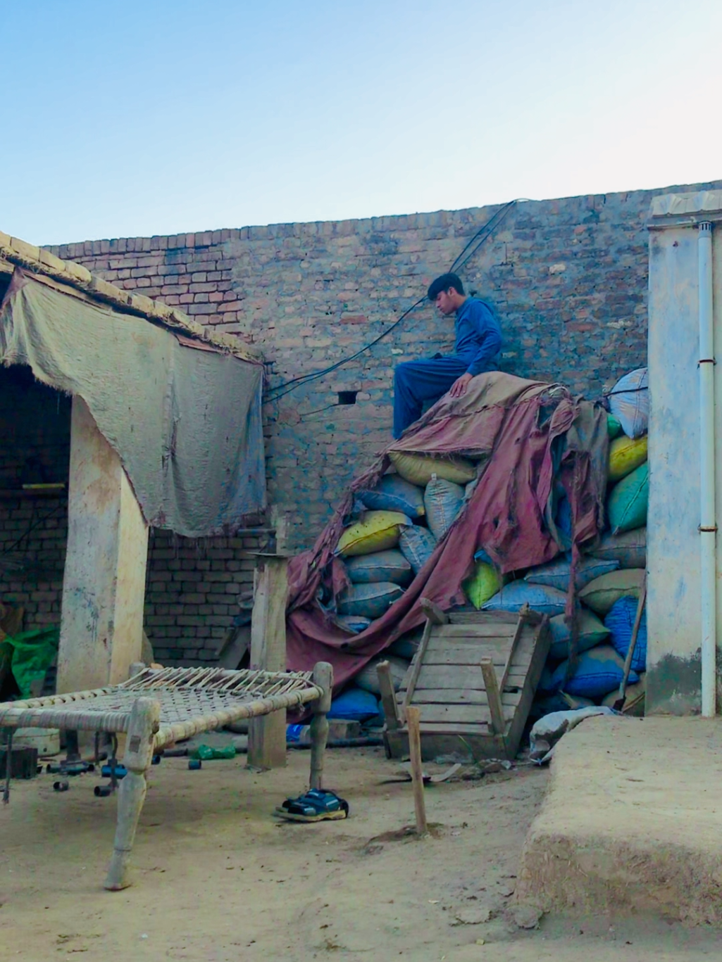 #aliinzamamok1 #foryoupage #video #viral @RAHEEN💧 