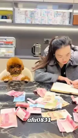 #粉丝一千万 #dog #funny #foryou #fyp 