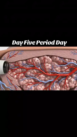 Day Five period day Very Painful  #period #inside #Lifestyle #anatomy #health 