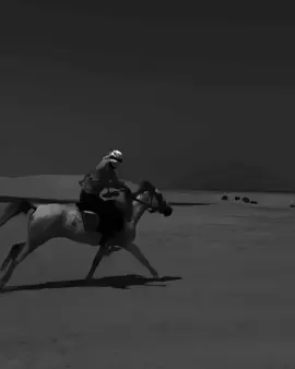 اگر کوئی اپ کو بے سکون کرے تو اپ کا فرض بنتا ہے اس کا جینا حرام کر دو-💀👍🏻 •                 PLS TIKTOK UNFREEZ MY ACCOUNT                                            𝐃𝐄𝐀𝐑 𝐓𝐈𝐊𝐓𝐎𝐊 𝐓𝐄𝐀𝐌 𝐏𝐋𝐄𝐀𝐒𝐄 𝐃𝐎𝐍𝐓 𝐔𝐍𝐃𝐄𝐑 𝐑𝐄𝐕𝐈𝐄𝐖 𝐌𝐘 𝐕𝐈𝐃𝐄𝐎 #Foryou #foryoupage #viralvideo #viral #oye_baghi @TikTok Pakistan @TikTok 