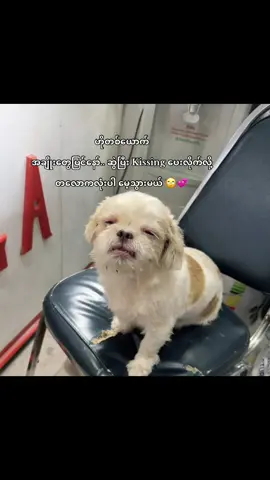 ကိုကိုရေ.. ဟွန်းဟွန်းးးး 😝💋 #forMyHubby#KoKo#Relationship#Fyp#crd