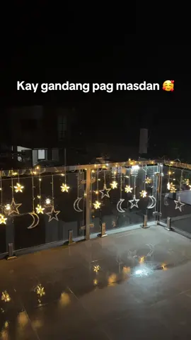 Christmas lights #lights #christmasdecor 