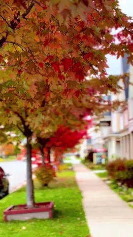 #canada_life🇨🇦 #foryou 