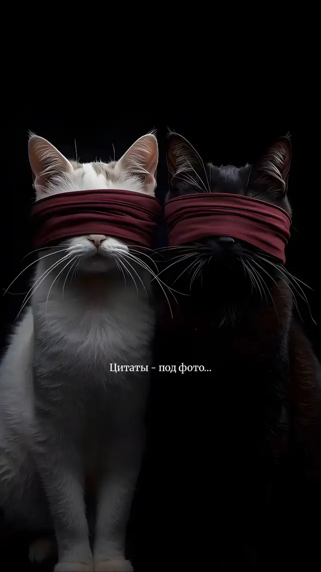 Тгк: the_end_sz, больше в телеграмме ссылка в профиле.