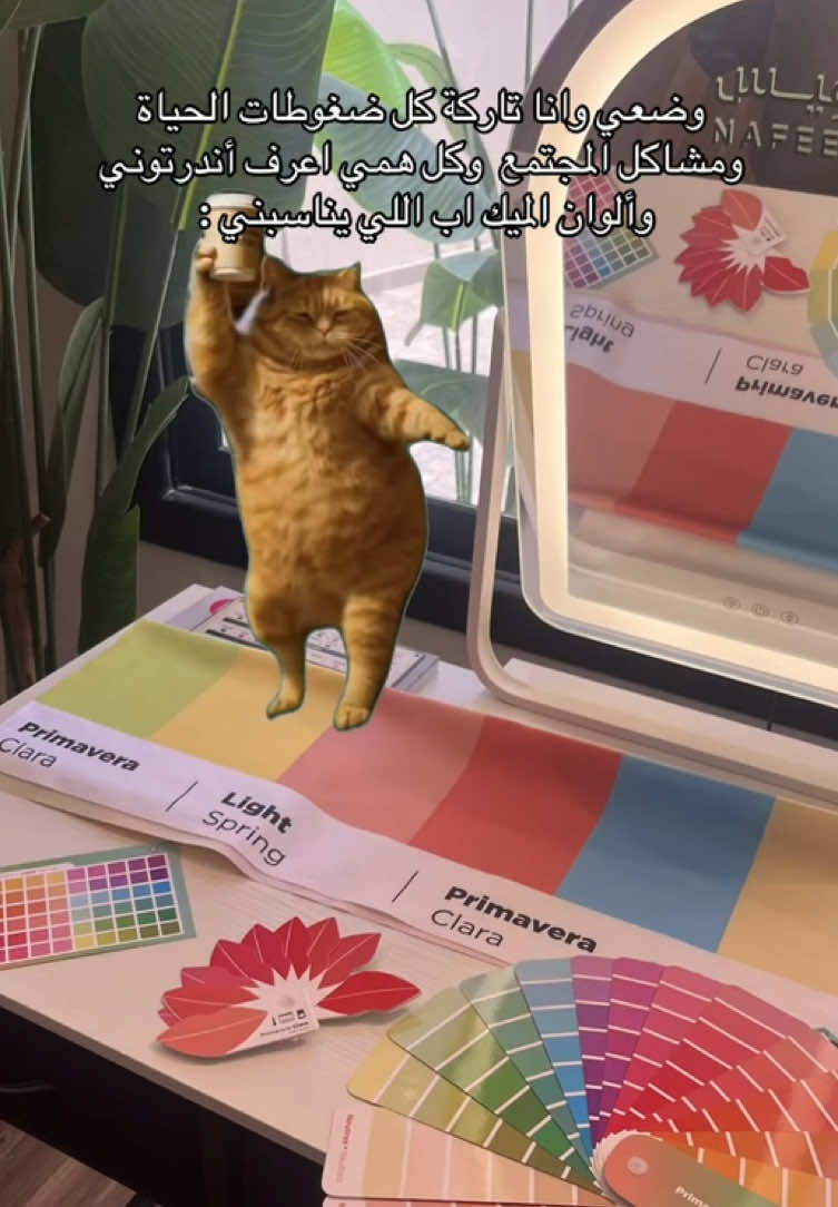 يعني بالله المجتمع اهم مني ؟ طبعا لا أنا اهم 💅🏻💖 #GlowUp #makeup #explore #foryou 