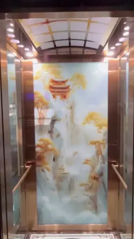 Ưng cái mầu inox #thangmaygiadinh #phamdacvu 