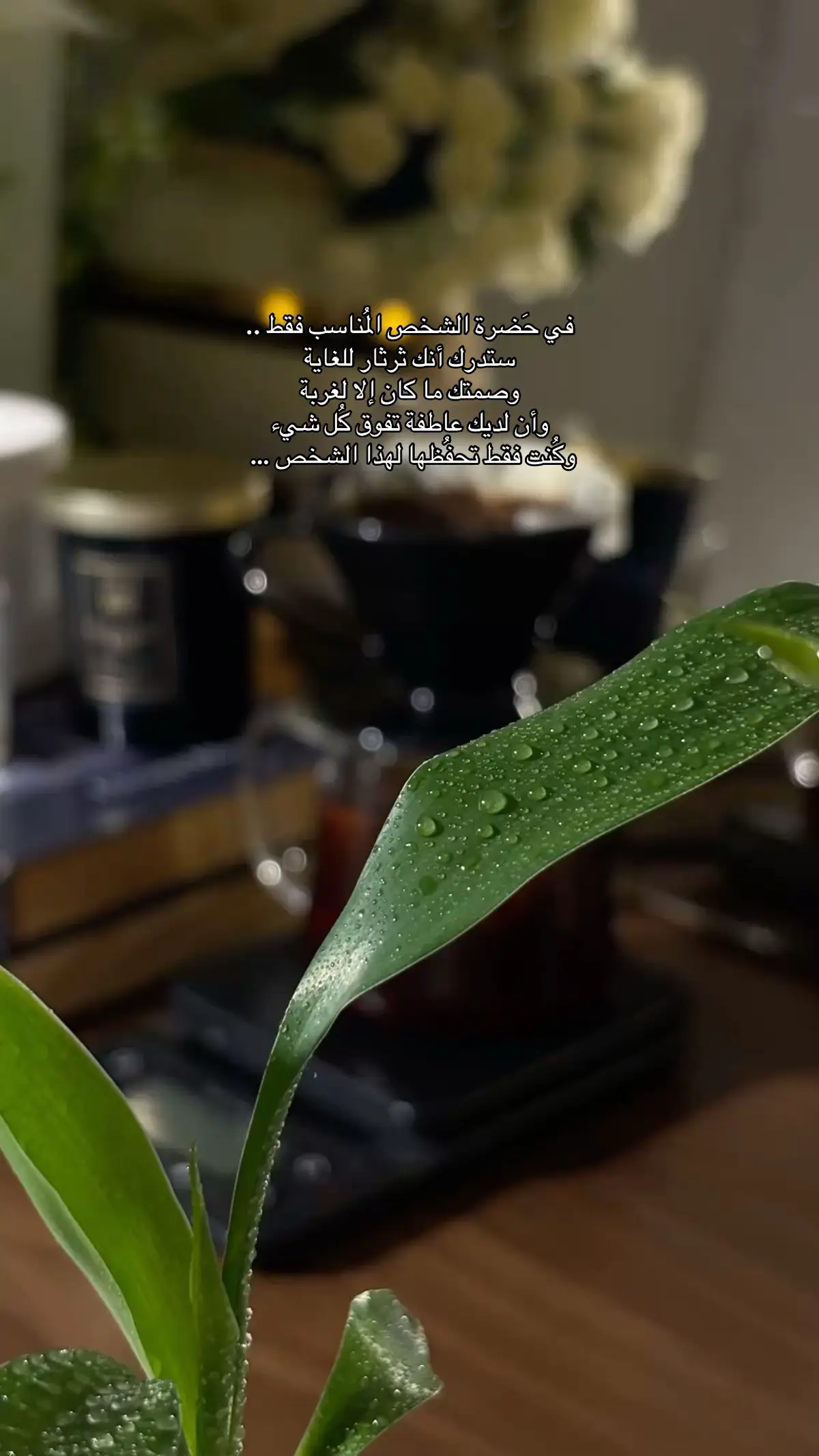 #اكسبلورexplore  #tiktok  #fypシ  #music  #foryoupage 