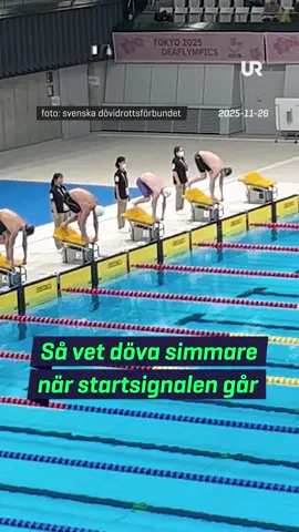 Hur vet döva simmare när det är dags att hoppa i vattnet?🤔 Kevin Shiva som tävlar för Sverige i Deaflympics förklarar!  #OS #sverige #sport #fördig #foruyou #swim 