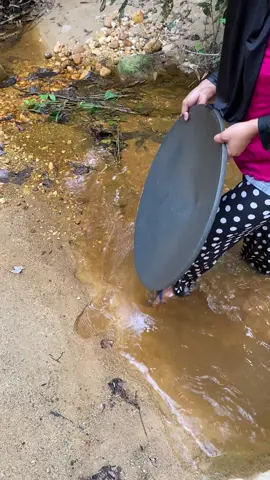 The process of finding gold | finding gold in bedrock fragments | finding gold nuggets worth $1500 amazing ‼️😱😱 #goldhunter #golddiscovery  #lookingforgold #goldrush #goldnugget  