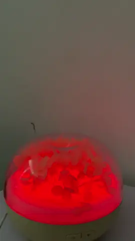 #khách chỉ việc ngủ , còn mụn để iêm lo🤭🤭  #nanmuntainha🌸 #chuyenlaynhanmun  📍q3,hcm 