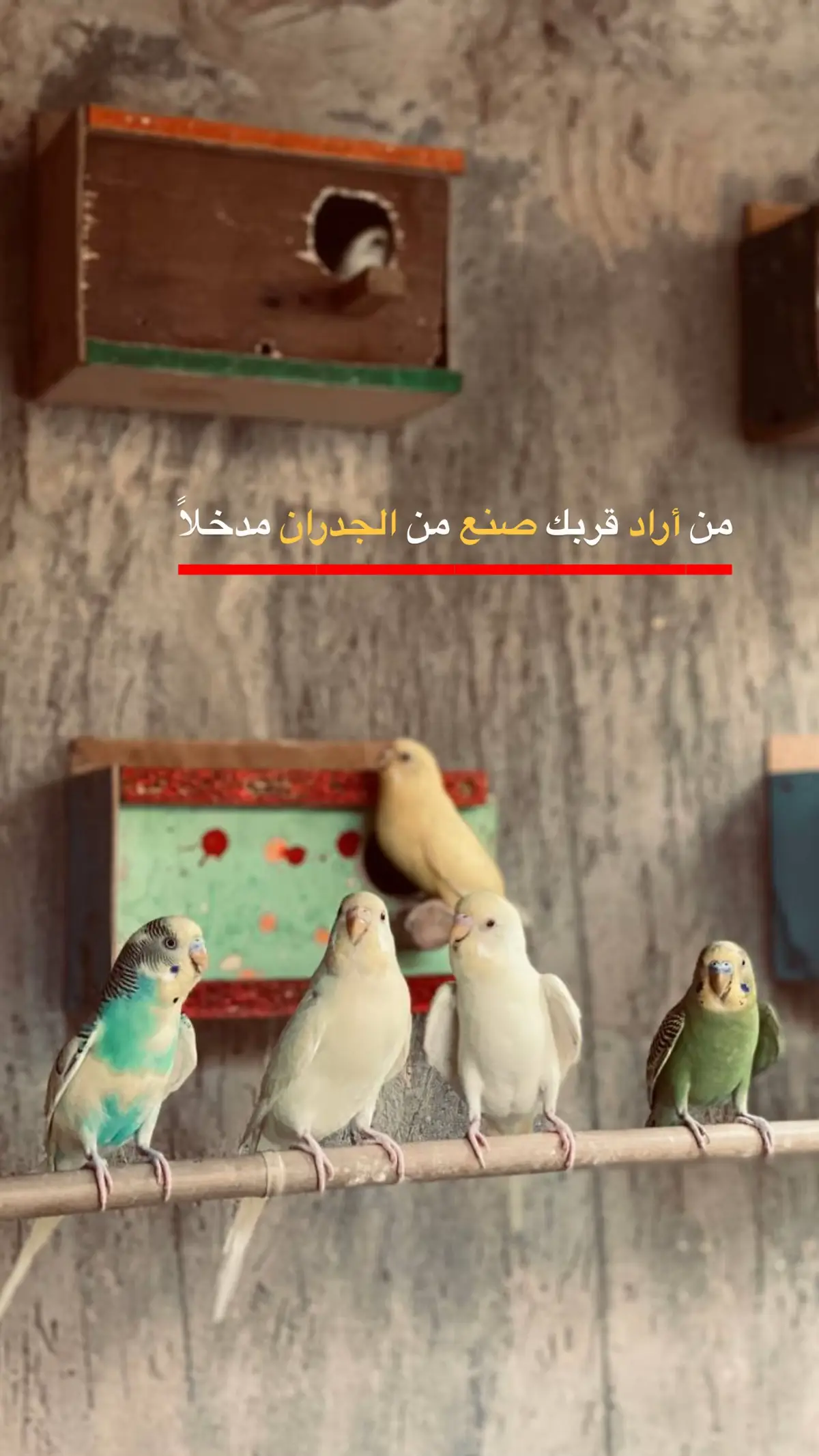 #صوري #عبارات #اكسبلور #الانستا_في_البايو #الشعب_الصيني_ماله_حل 