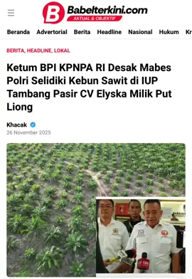 Ketum BPI KPNPA RI Desak Mabes Polri Selidiki Kebun Sawit di IUP Tambang Pasir CV Elyska Milik Put Liong BABELTERKINI.COM, MEMBALONG – Dugaan penyimpangan izin kembali mencuat di sektor pertambangan Belitung. IUP Operasi Produksi pasir kuarsa seluas 89 hektare milik CV Elyska Indo Plantation di Dusun Gunung Kurak, Desa Mentigi, Kecamatan Membalong, diduga tidak lagi difungsikan sebagaimana mestinya. Area yang seharusnya digunakan untuk aktivitas penambangan itu justru berubah menjadi kebun kelapa sawit. Padahal, IUP yang berlaku untuk periode 2023–2036 dengan tegas menyatakan bahwa lahan tersebut hanya boleh digunakan untuk kegiatan pertambangan. Tidak ada ketentuan yang mengizinkan pemanfaatan area IUP sebagai kebun sawit. Temuan ini langsung menimbulkan pertanyaan serius terkait lemahnya pengawasan pemerintah daerah maupun kepatuhan pemegang IUP terhadap aturan hukum. Sinyal dugaan penyimpangan makin kuat setelah pantauan lapangan pada Selasa (25/11/2025) oleh babelterkini.com menunjukkan adanya aktivitas reklamasi di bekas galian tambang. Namun indikasi di lapangan justru mengarah pada dugaan bahwa reklamasi hanya dijadikan kedok untuk mempersiapkan lahan tanaman kelapa sawit. Jika benar, praktik ini jelas bertentangan dengan prinsip reklamasi yang wajib mengembalikan fungsi lahan, bukan mengalihkannya menjadi perkebunan. Selengkapnya: babelterkini.com, link di BIO #iup #tambang #pasir #sawit #beritatiktok 